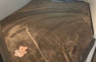 2019 Dutchmen RV Coleman Lantern Series 244BH