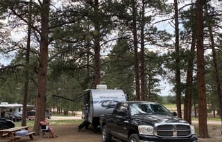 2021 Forest River Wolf Pup Black Label 16PFBL