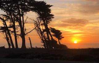 PERFECT Family RV Trailer Bunk House-PetsWelcome