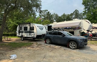 The Minnie drop adventure oasis