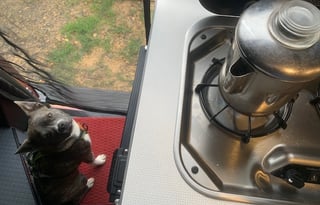 2022 Winnebago Solis 59PX *18-22 MPG* CAMPERVAN