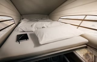 California Standard| San Fran|Burning Man Friendly