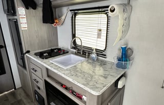 Cute and comfy 2023 Coleman lantern, 17R