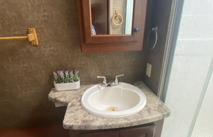 Bathroom Sink