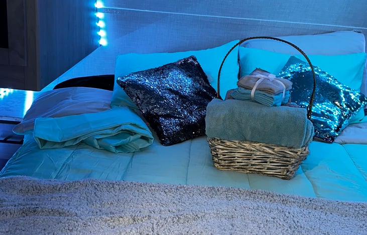 Our inside is decked out in LED lights that are motion and blink to music