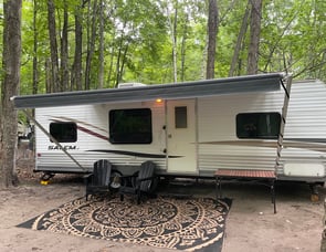 Forest River Forest River Salem LE