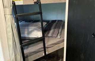 The Flower Bed - "Sunflower"