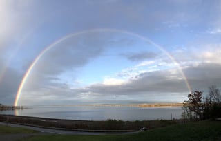 2019 Forest River RV Cherokee 255RR