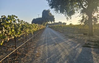 2013 Chrysler Chrysler Town Country