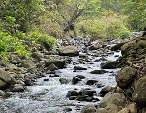 Forest River RV Tracer Air M-290 Air