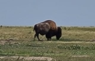 Summer Rate!!!  $125/Day, UNLIMITED Miles!!!