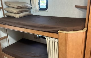 Curly - Winnebago ready for adventure!