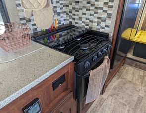 Forest River RV Forester 3011DS Ford