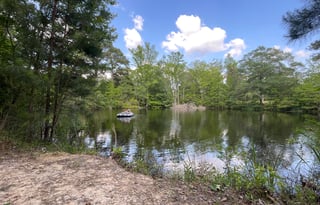 Ms Hazel,  our 2020 cozy coach!