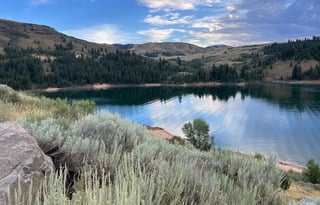 2020 Heartland - Mallard