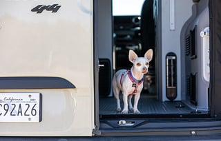 "Odin" - Ultimate Off-Road Adventure Companion