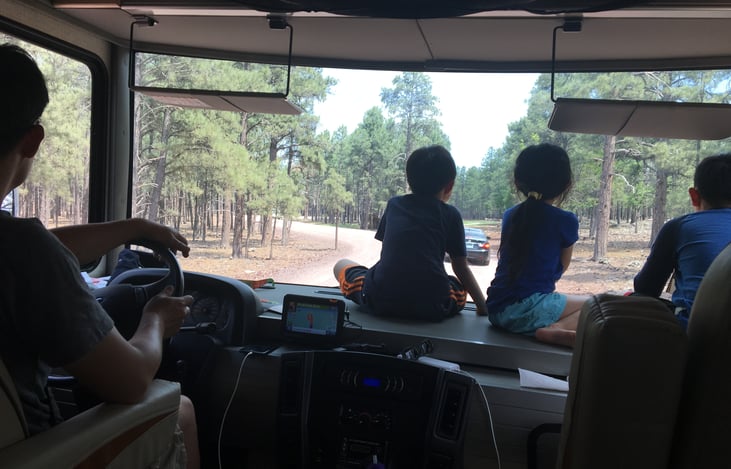 Drive thru safari