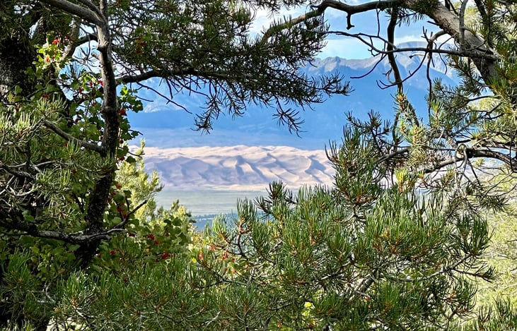 August trip to the Great Sand Dunes.