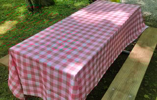 2022 Cruiser Radiance