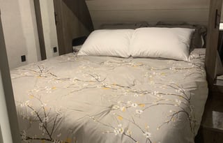 2020 Forest River Sleeps 10