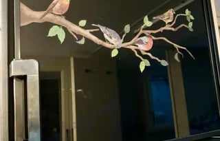 Travel with Birdie - Your Adventure Awaits!