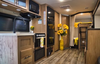 Sleeps Up to 10! Like New Inside & Out! (GWTX1816)