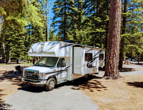 NeXus RV Triumph 24T