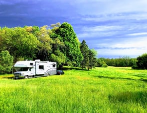 Forest River RV Forester 3171DS Ford