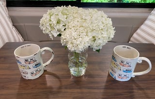 2021 Winnebago View - All Inclusive Adventure!