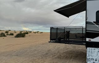 2023 Pet Friendly Shockwave Toy Hauler