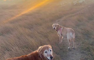 2016 Jayco Jay Flight 27RLS