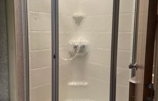 Pick the Chrysanthemum with Bloomin Bookings