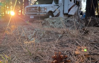 2024 Coleman The Switchback 28CM