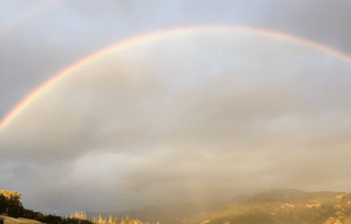 PERFECT Family RV Trailer Bunk House-PetsWelcome