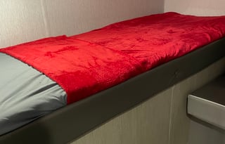 Pet Friendly 2024 Wildwood