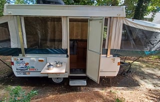 The Bear Necessities