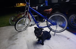 Pedro's Resort   2020 Palomino Puma