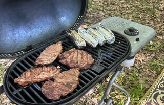 2021 Venture Sonic Lite - Dandelion Adventures RV