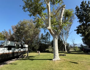 Forest River RV Wildwood X-Lite 263BHXL