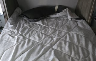 2022 Forest River RV Cherokee Alpha Wolf 33BH-L