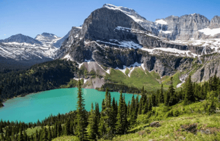 Hassle-free Camping with "The Mallard"