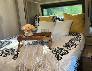 Forest River RV Salem Hemisphere 310BHI