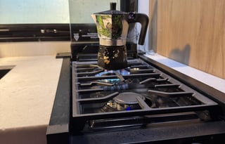 2025 Wolf Pup – Luxury Adventure/Compact Package!