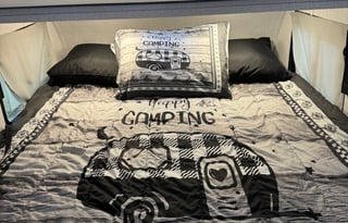 2023 Forest River Viking Explore 9.0