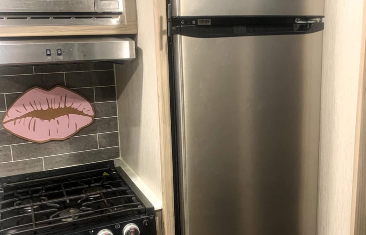 Large fridge and freezer (lip decor has been removed)