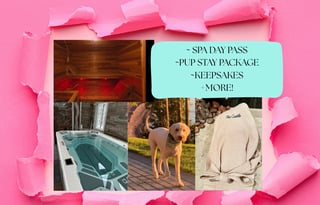 Camper's Cove:  Luxury on Lake Superior (Pup too!)