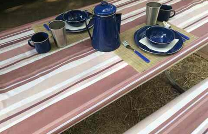 Dishes, silverware, cups, and napkins provided, along with a starter supply of paper plates and plastic silverware