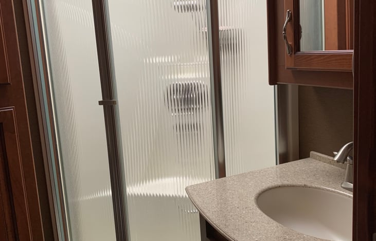 Bathroom Sink and Shower.