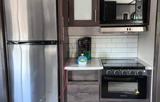 Pet friendly 2021 lantern