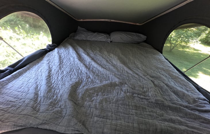 Another Queen above in the pop-up tent!